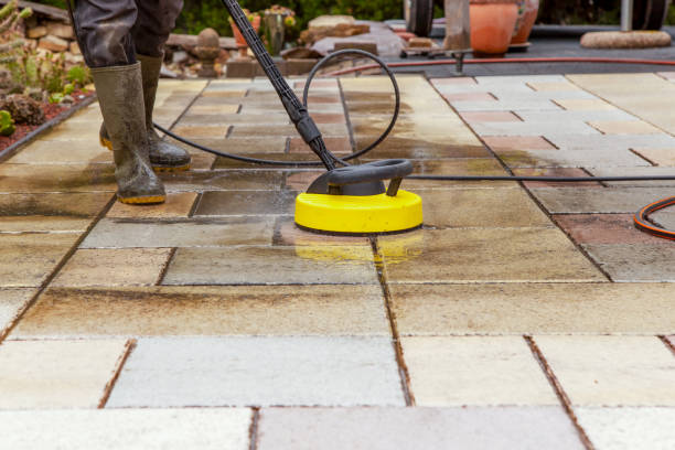 Best Animal Enclosure Cleaning  in Highland Lakes, AL